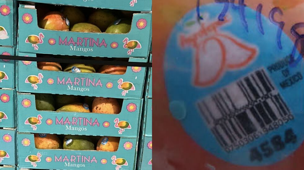 The recalled mangoes are marked with a light blue sticker with the word “Agrofepac” on them.