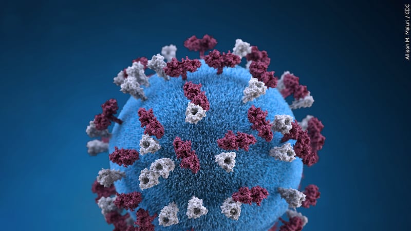 Credit: Allison M. Maiuri / CDC MGN Image Id: 566740