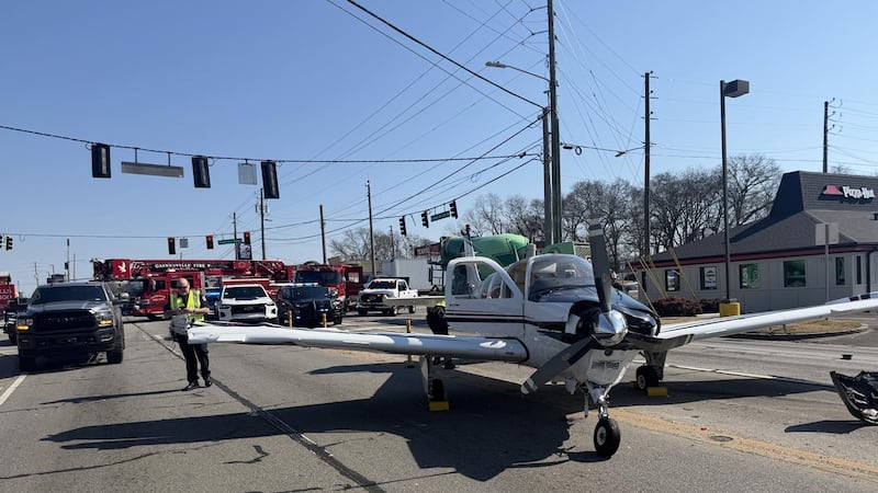 The single-engine plane made a landing on Browns Bridge Road and Pearl Nix Parkway.