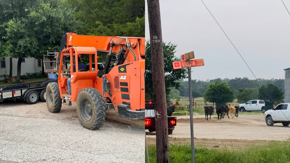 Una localidad de Texas se convierte en un corral de ganado después de que un camión de 18...