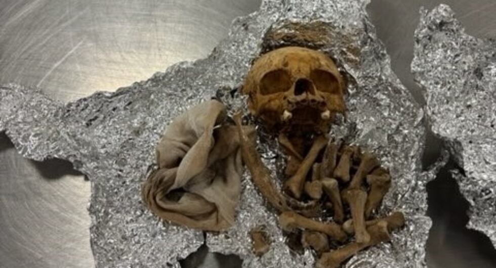 A foil-wrapped duffel bag containing what looked like human remains, including part of a skull...