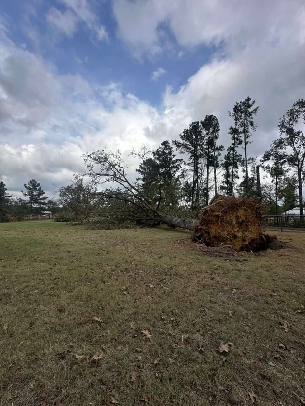 Ashley Turner shared images of storm damage on County Road 4106.