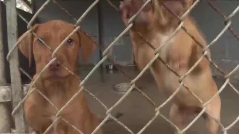 Top 5 con Miguel Ángel Antoñanzas | 23 de enero de 2026