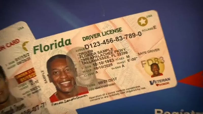 Las nuevas licencias señalarían si el conductor es ciudadano estadounidense o residente...