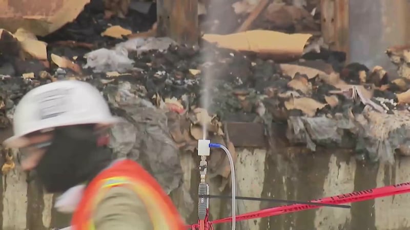 Vecinos se mantienen en alerta máxima tras invasión de moscas y roedores luego que bodega de...